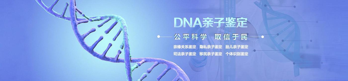 DNA亲子鉴定能做