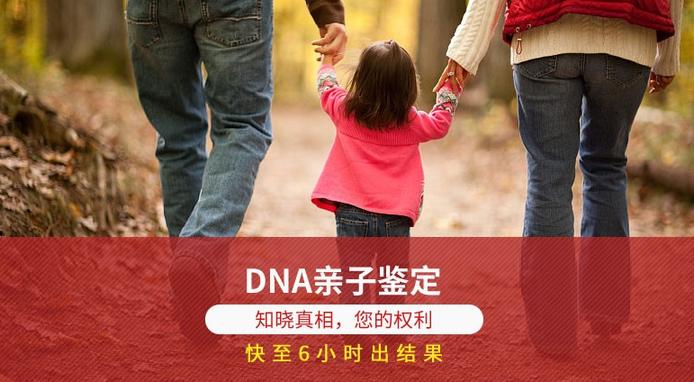 DNA亲子鉴定收费