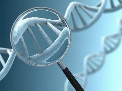 DNA亲子鉴定常见问题
