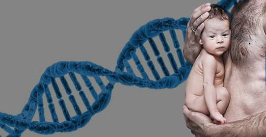 DNA亲子鉴定怎么选择