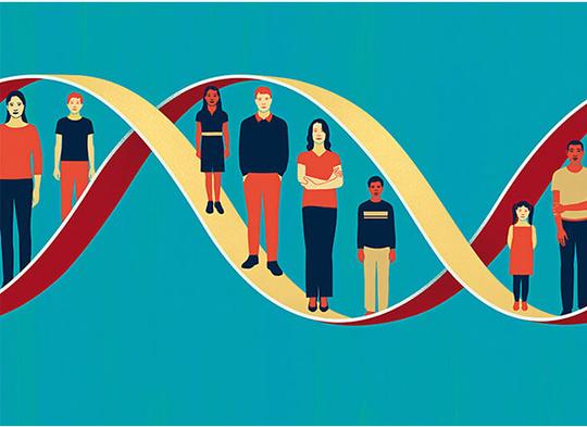 DNA亲子鉴定步骤