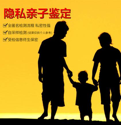 郑州同卵双胎亲子鉴定多少钱做一次